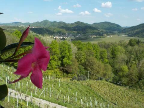 Colle Del Sole Hotel Miane Luaran gambar